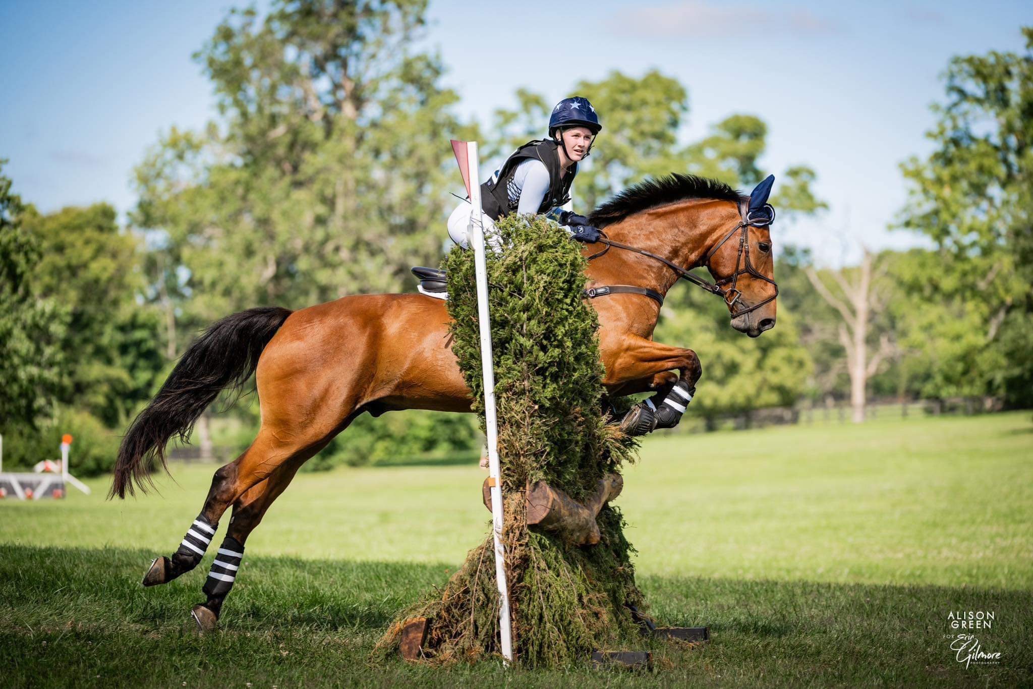 Simone Van Ommeren on Global Barouma